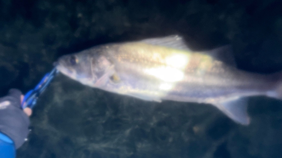 パターンの変化？