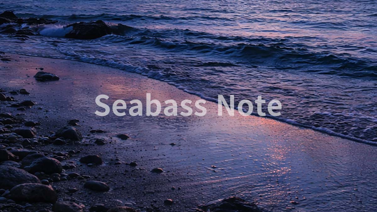 2025年 博多湾シーバス 釣り納め